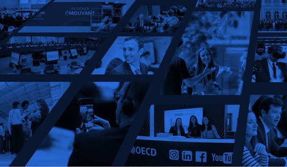 OECD Transfer Pricing Background